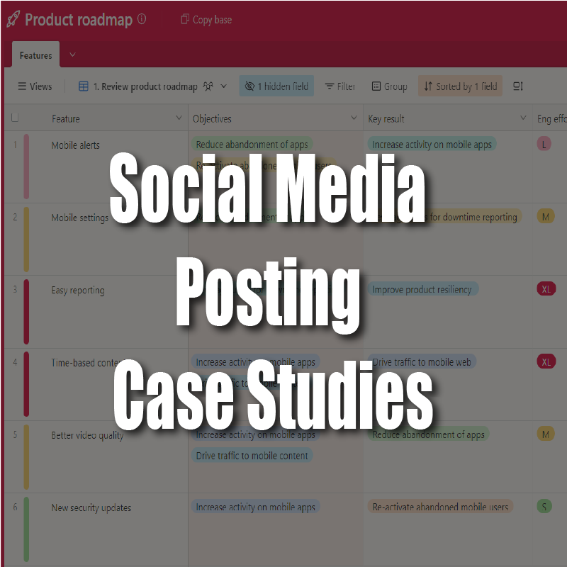 Social Media Posting Case Studies 800x800