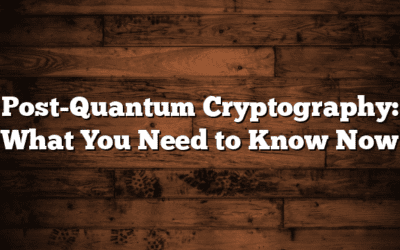 Post-Quantum Cryptography: What You Need to Know Now