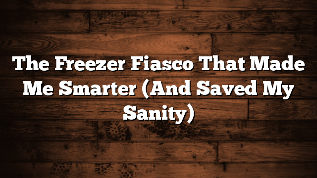 The Freezer Fiasco That Made Me Smarter (And Saved My Sanity)