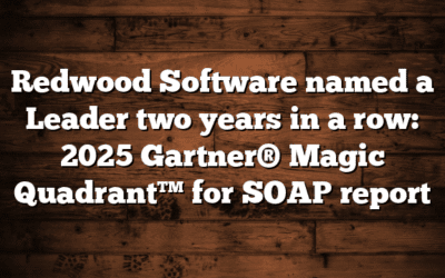 Redwood Software named a Leader two years in a row: 2025 Gartner® Magic Quadrant™ for SOAP report
