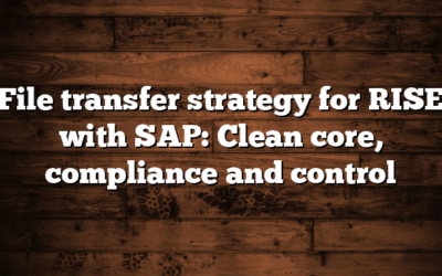 File transfer strategy for RISE with SAP: Clean core, compliance and control